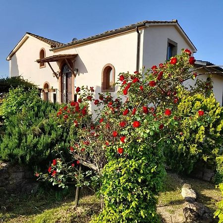 Borgo De' Muracci Ribolla Exterior foto