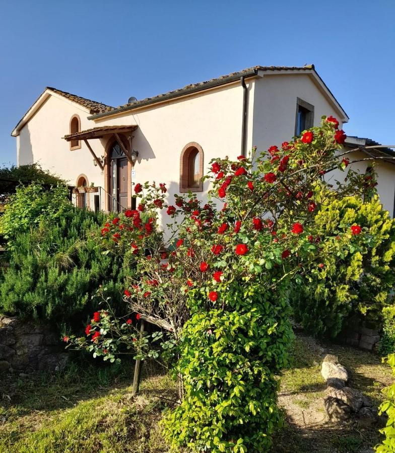 Borgo De' Muracci Ribolla Exterior foto