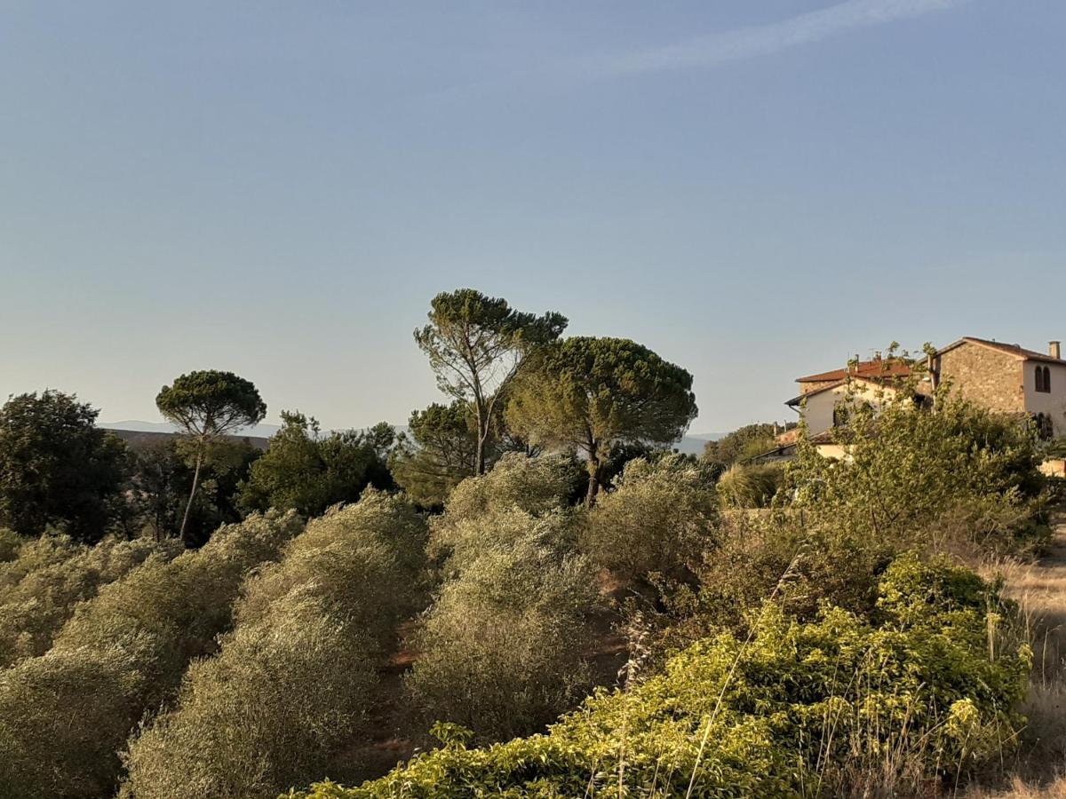 Borgo De' Muracci Ribolla Exterior foto