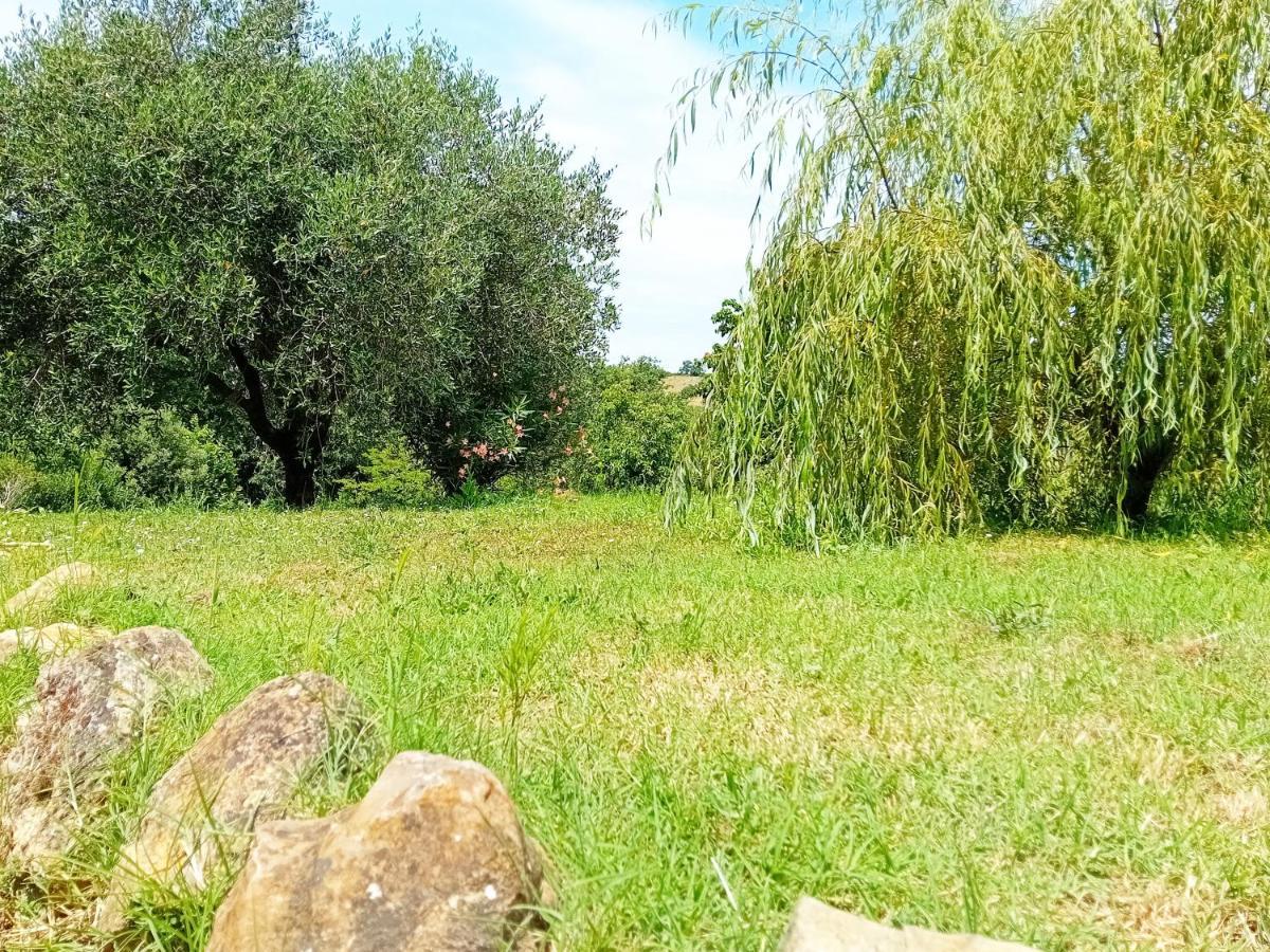Borgo De' Muracci Ribolla Exterior foto