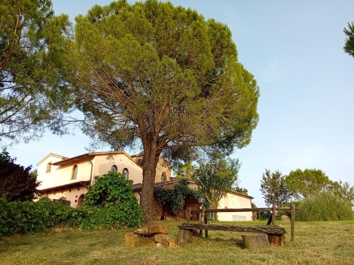 Borgo De' Muracci Ribolla Exterior foto