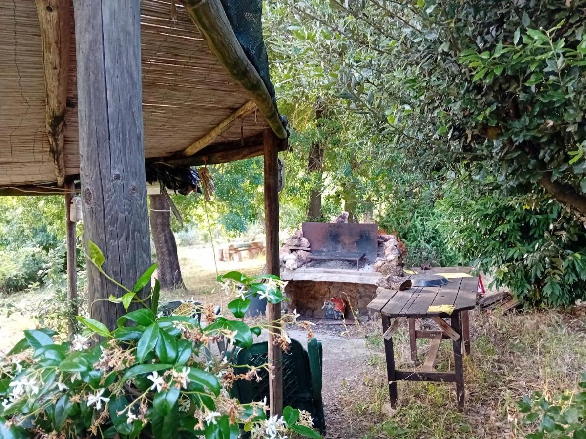 Borgo De' Muracci Ribolla Exterior foto