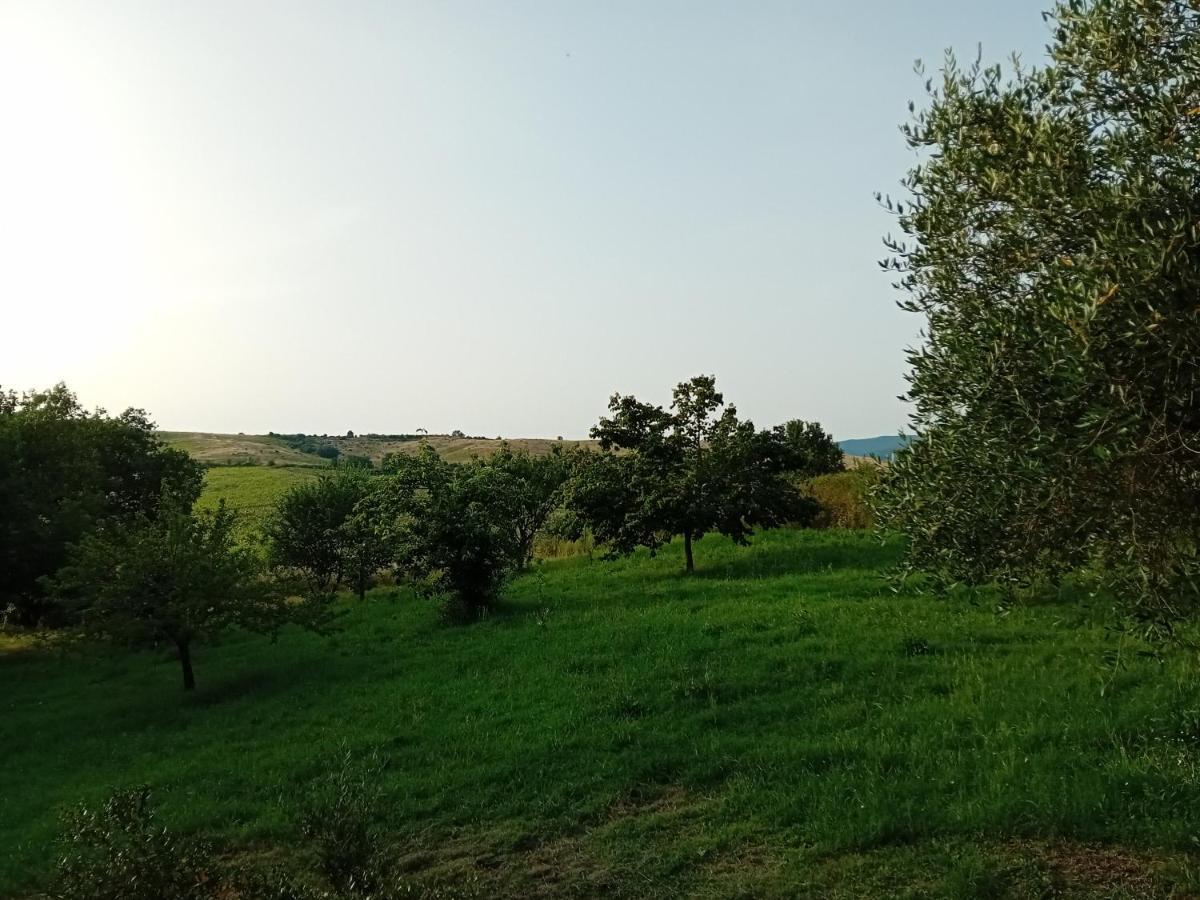 Borgo De' Muracci Ribolla Exterior foto