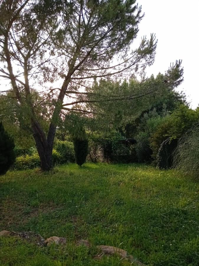 Borgo De' Muracci Ribolla Exterior foto